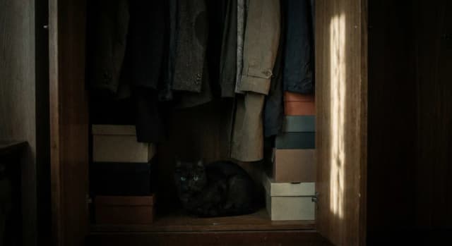 Why Your Cat Hides When Sick (And How Smart Tech Can Help)
