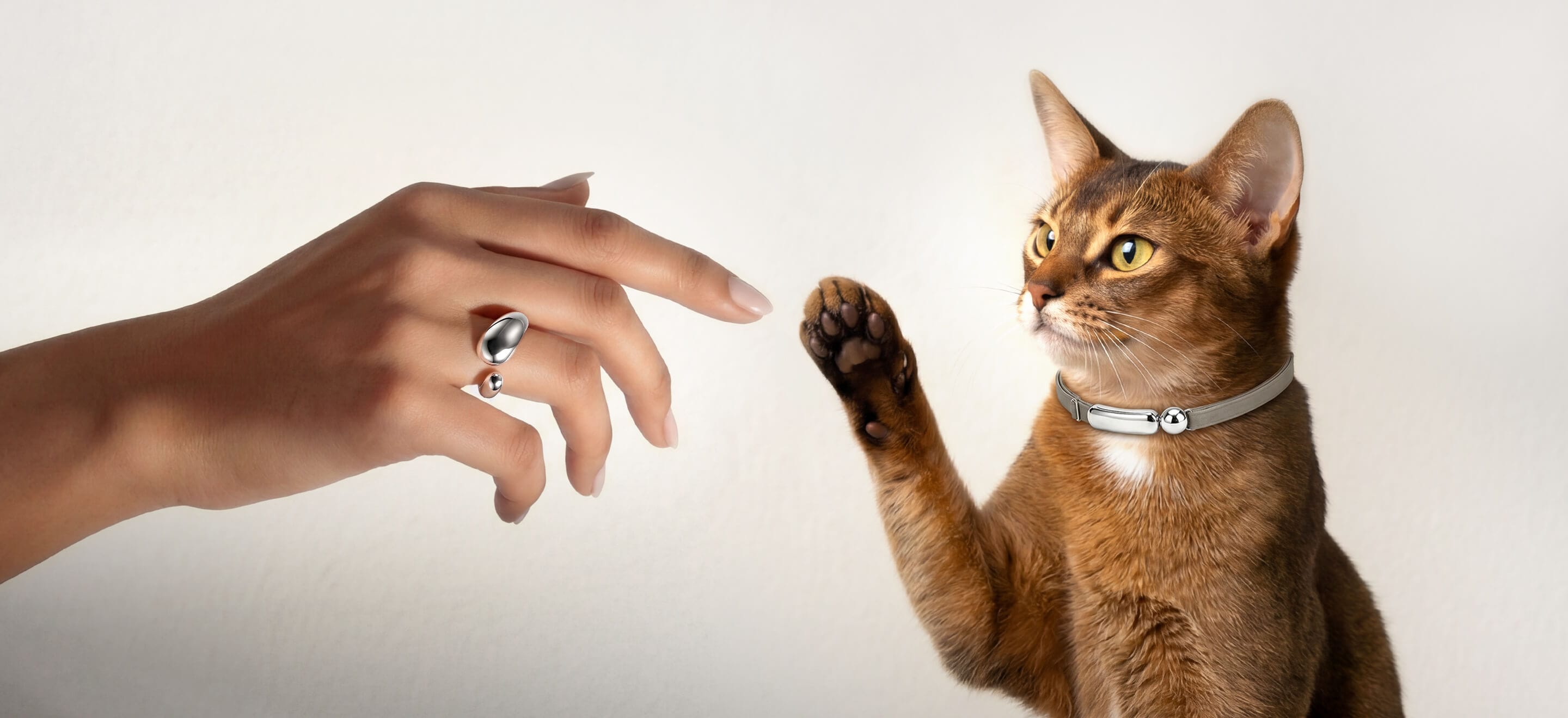 Catellect matching ring and cat collar — human hand and cat paw reaching to connect