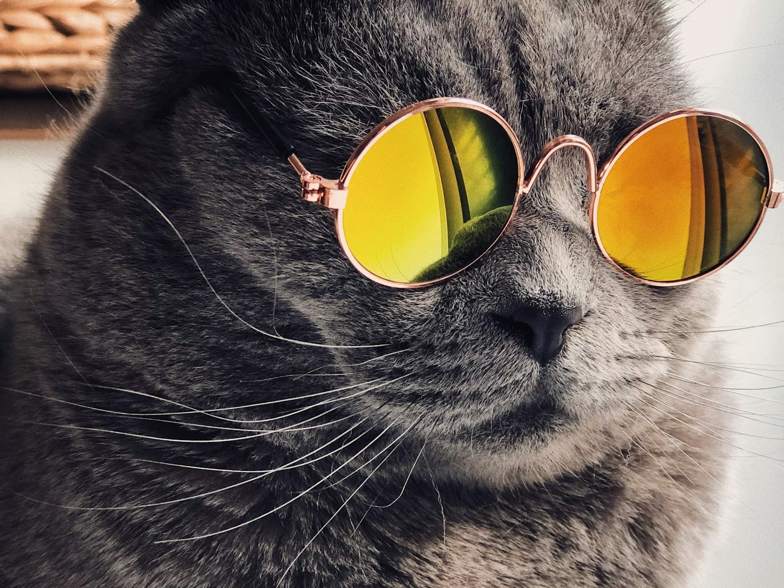 Visual Remix preview