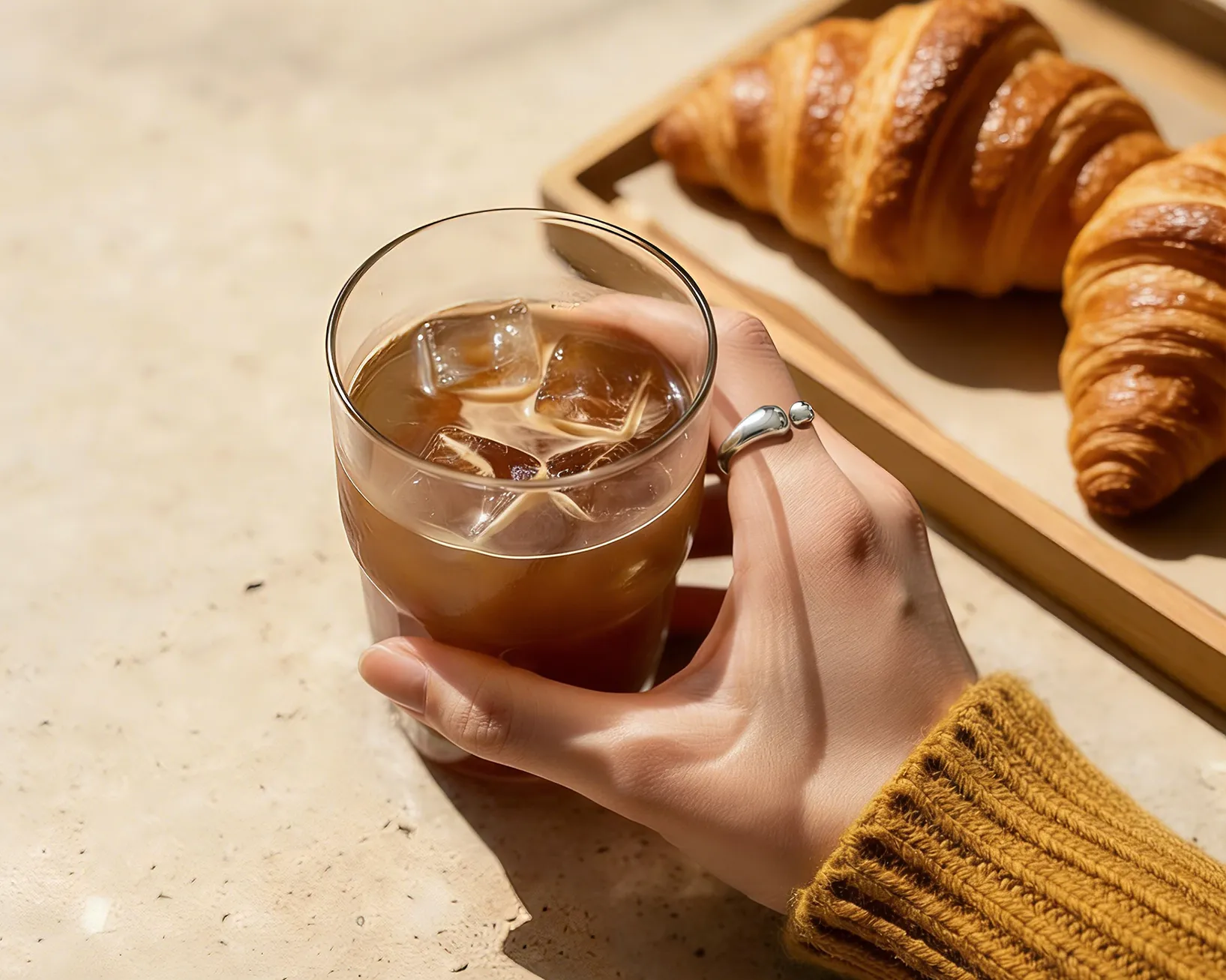 Catellect companion app providing unified insights and cat care alerts