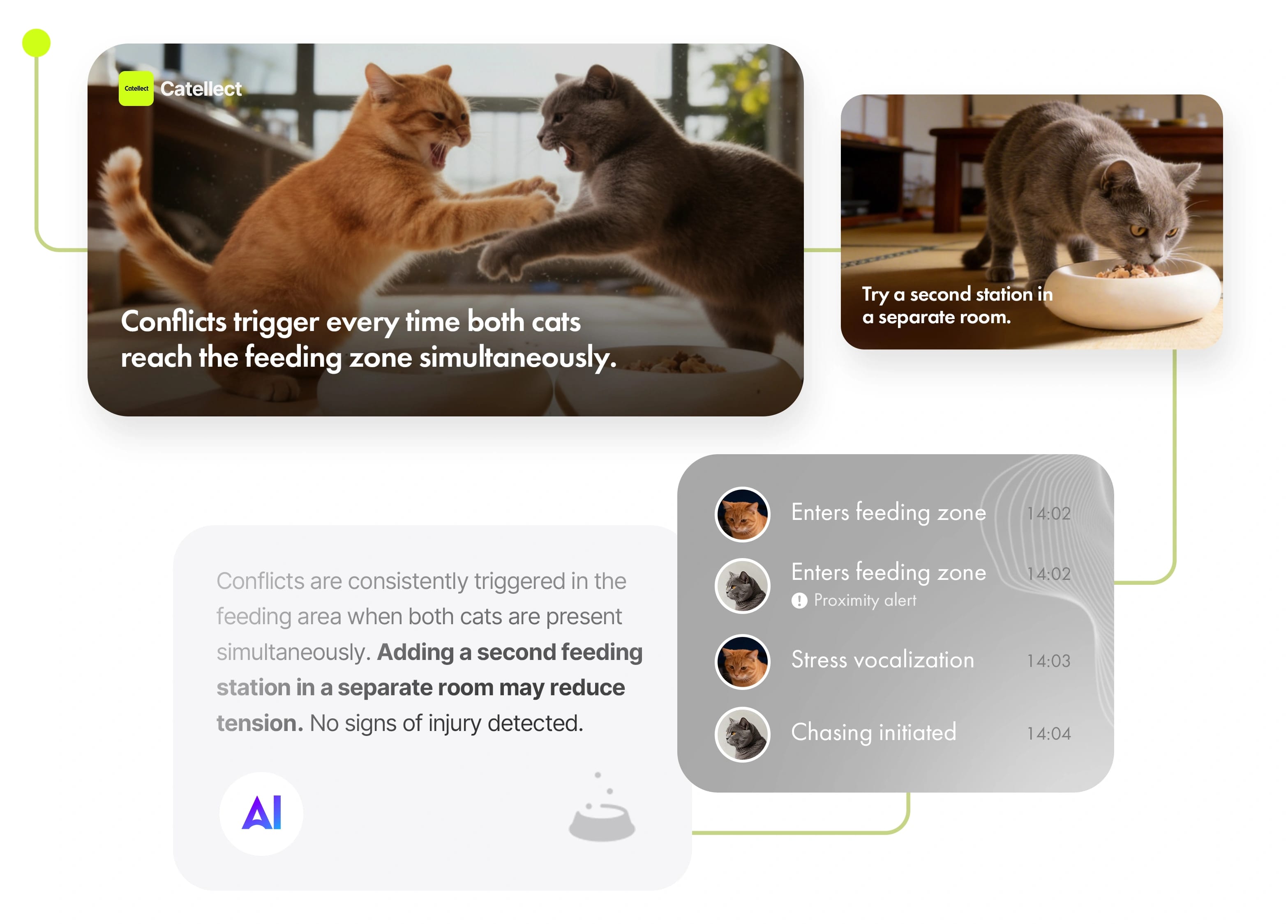 AI analysis of cats fighting near the feeding zone with behavioral timeline and actionable insight