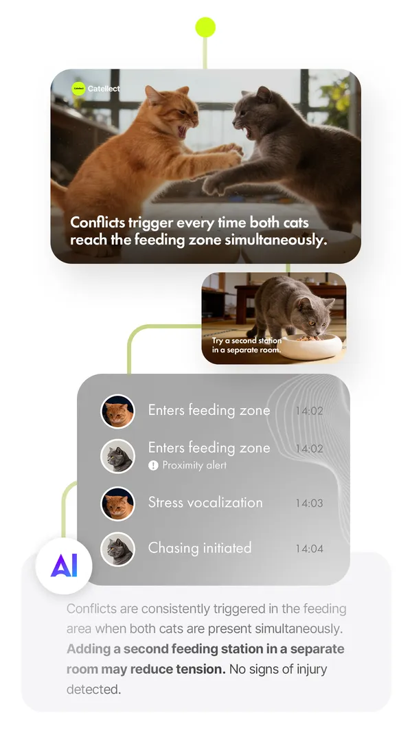 AI analysis of cats fighting near the feeding zone with behavioral timeline and actionable insight