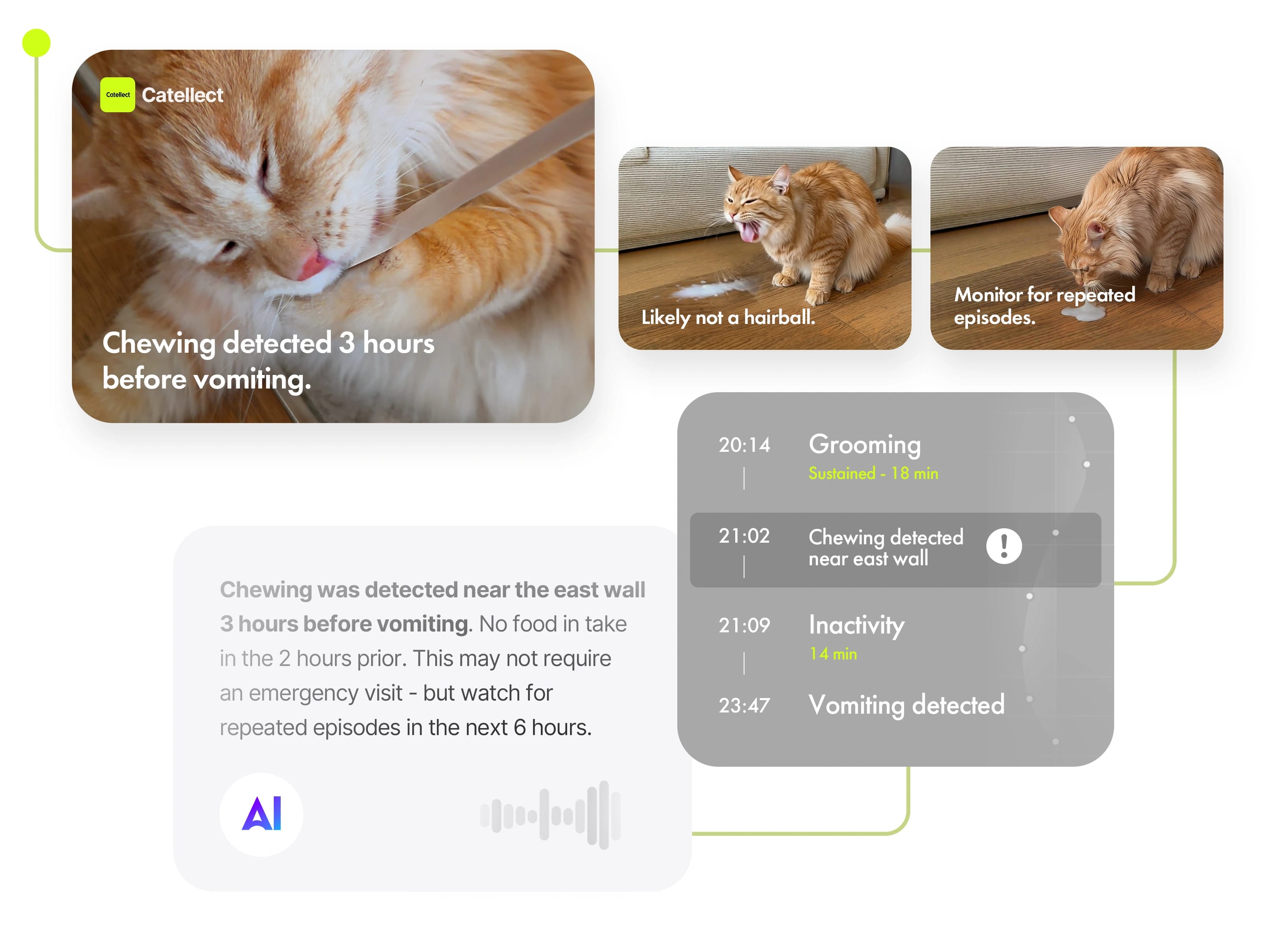 AI tracing of grooming and chewing events leading to vomiting with health monitoring timeline