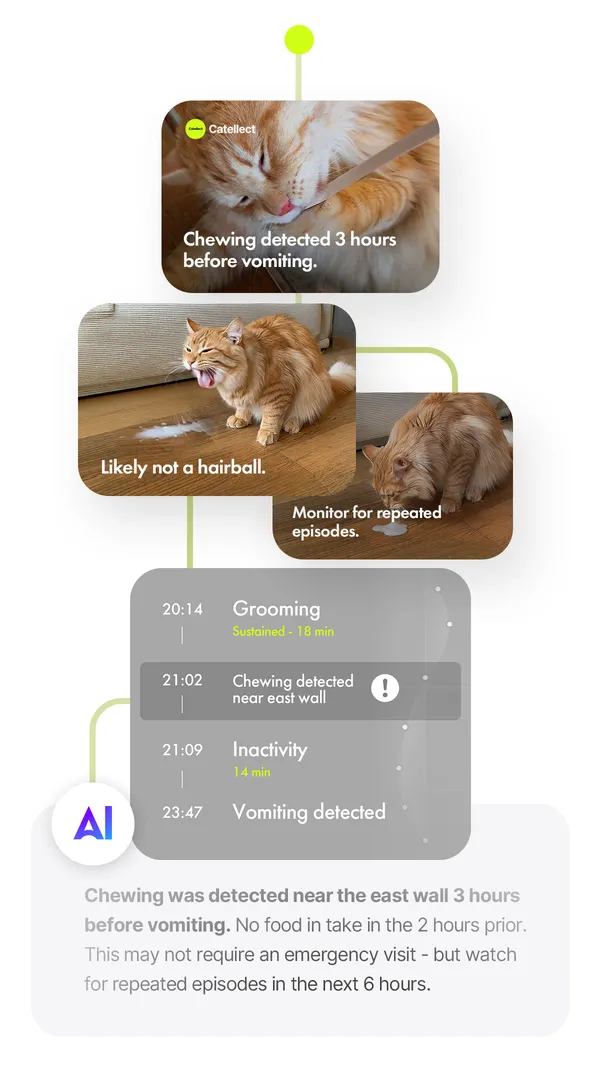 AI tracing of grooming and chewing events leading to vomiting with health monitoring timeline