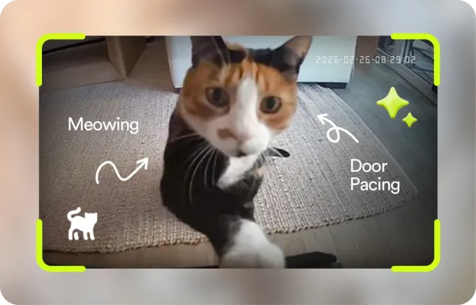 Pause before judgment