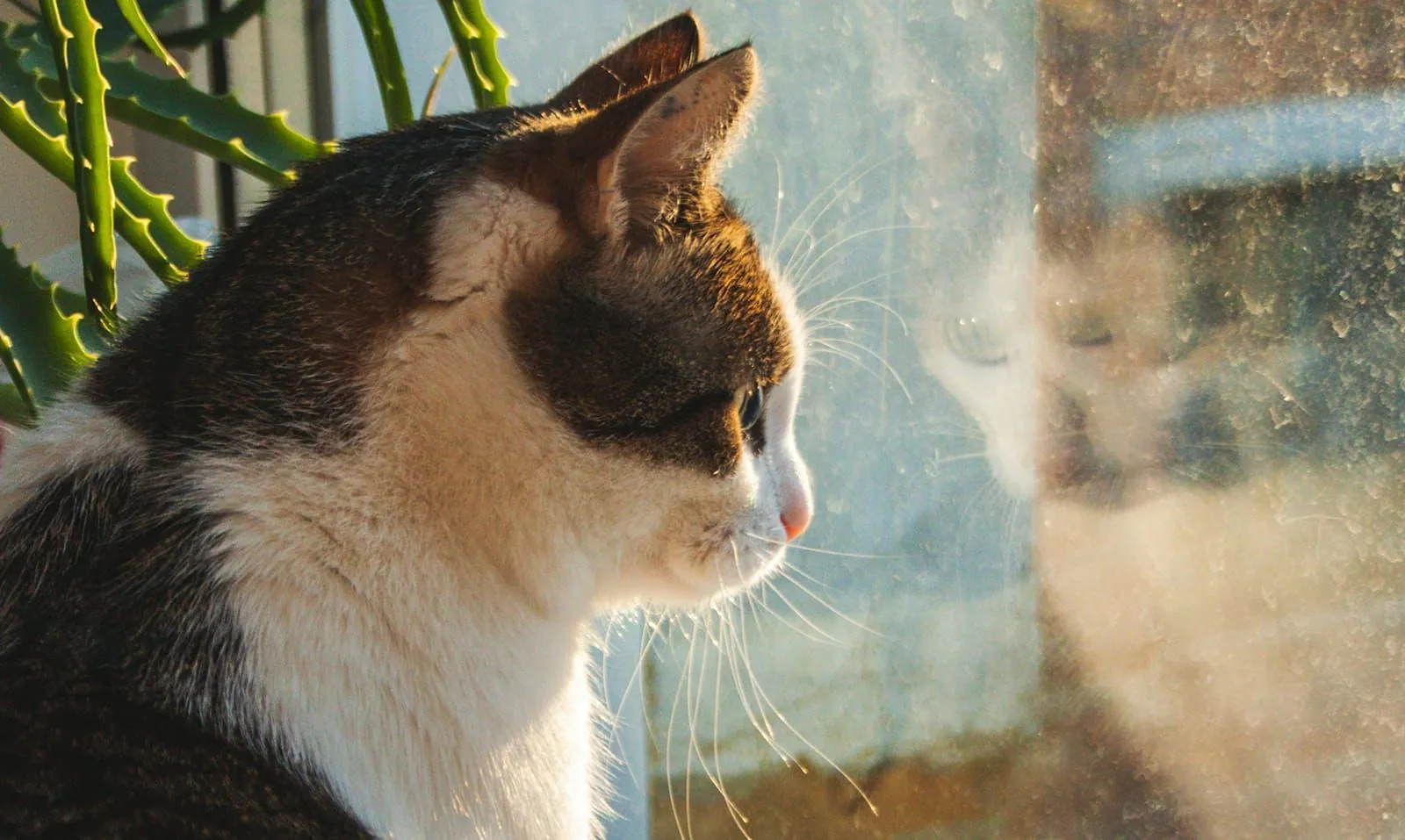 Pause before judgment