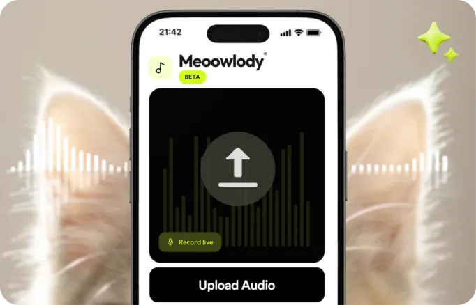 Listening comes first