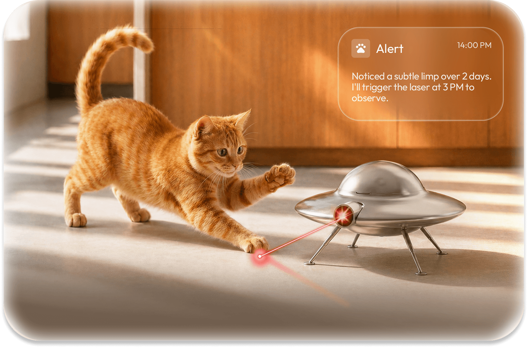 Anomaly detection scene