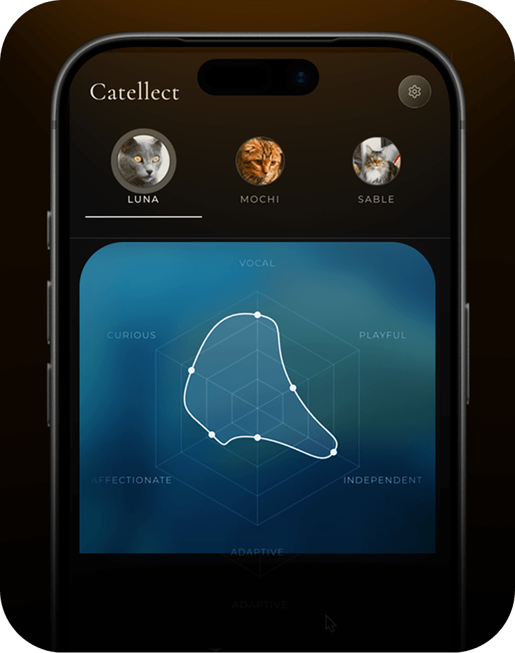 Individual cat's personality