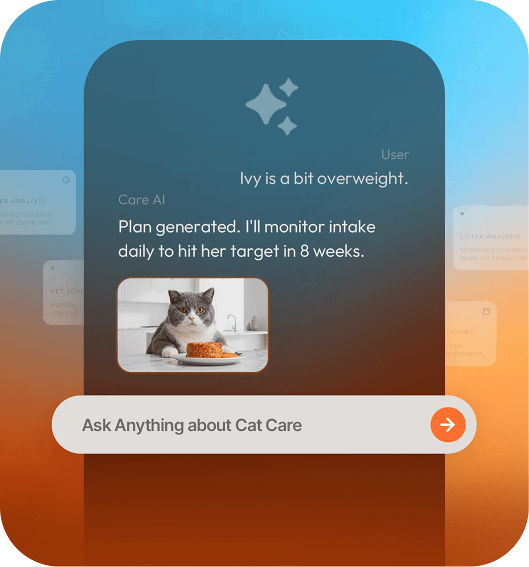 Natural language interaction with cat