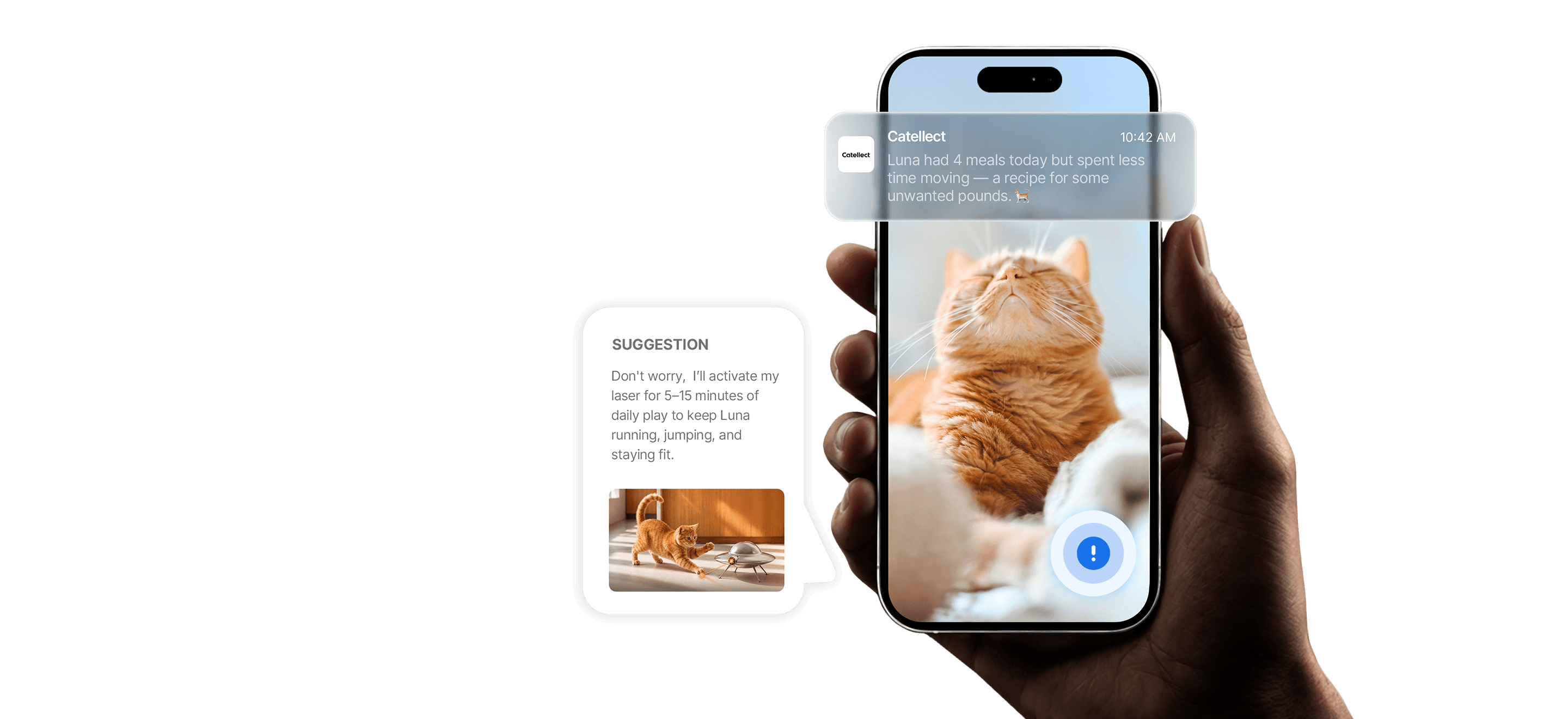Phone mockup showing a Catellect notification about a cat's daily activity, with an AI suggestion bubble