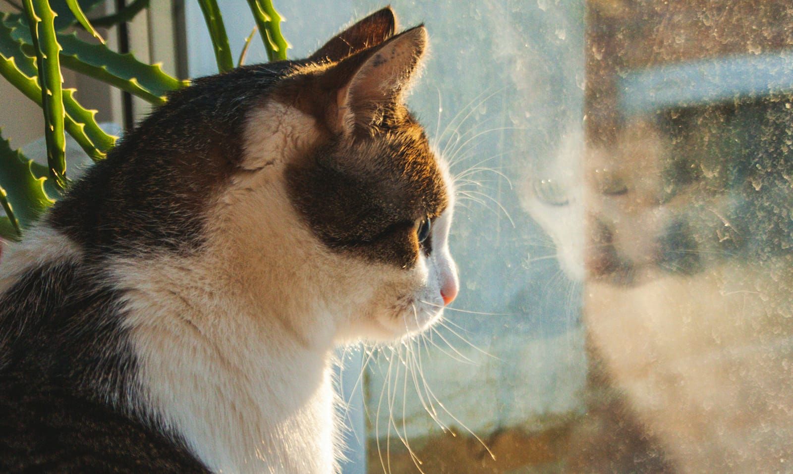 Pause before judgment