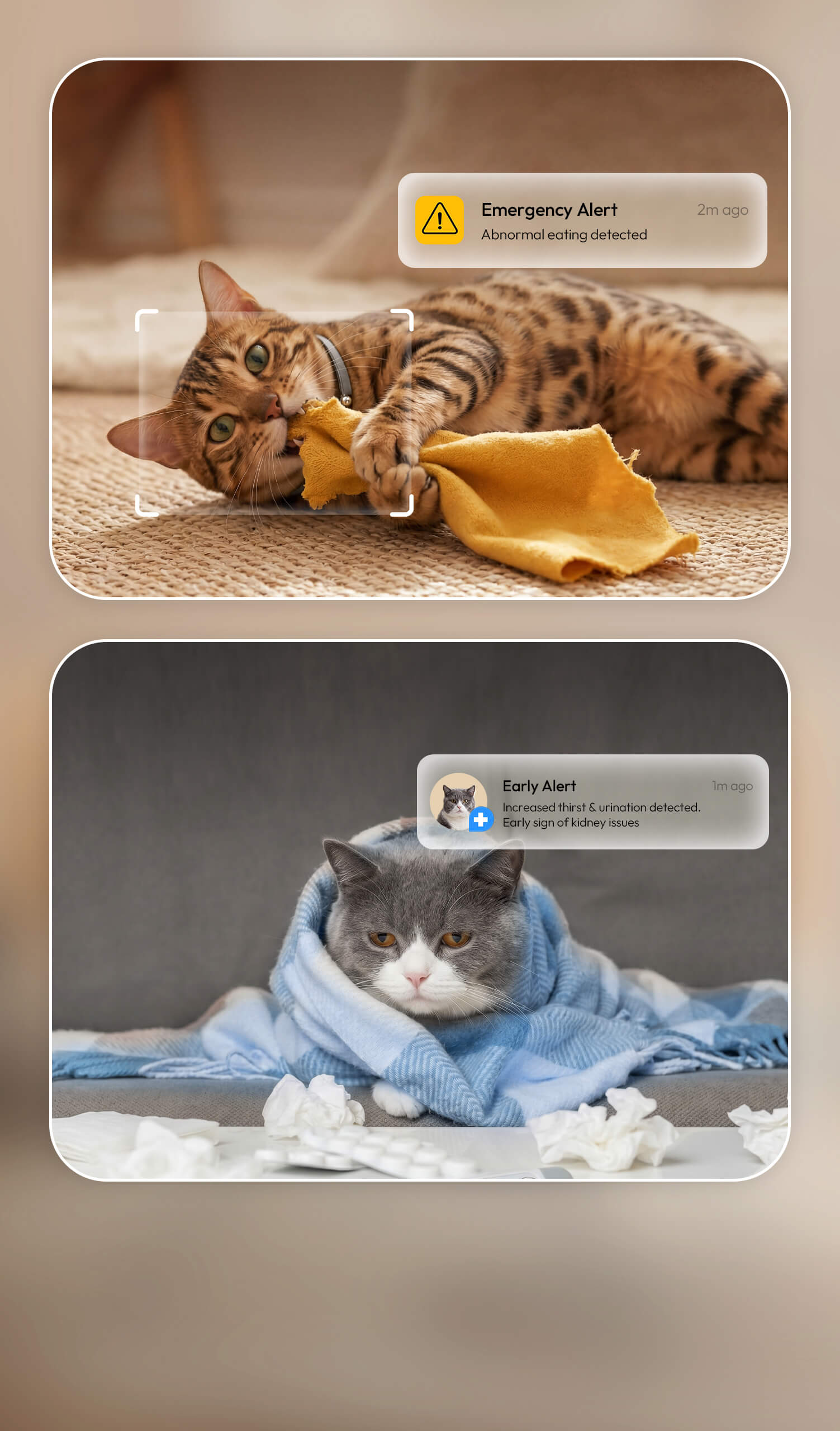 Emergency alert and early disease alert from Catellect notifications