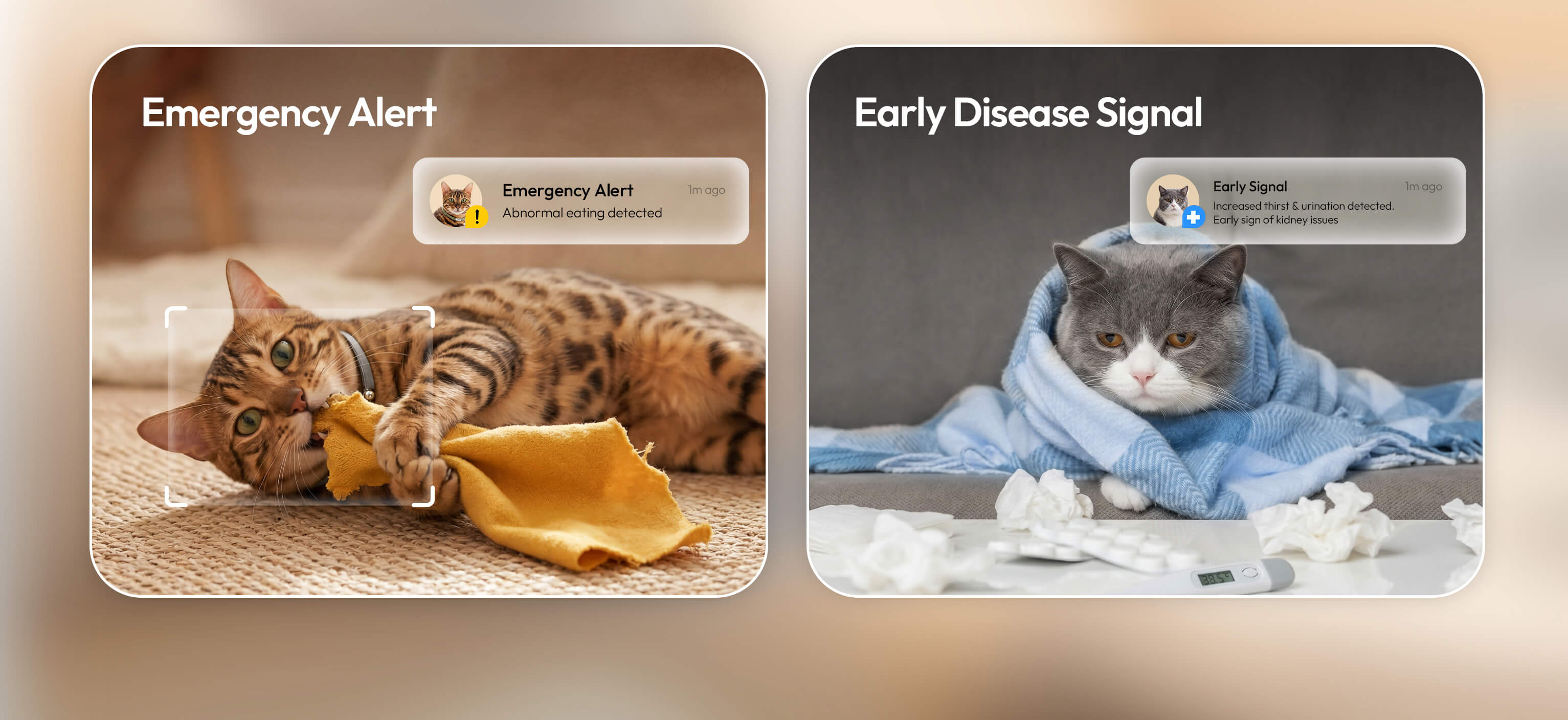Emergency alert and early disease alert from Catellect notifications
