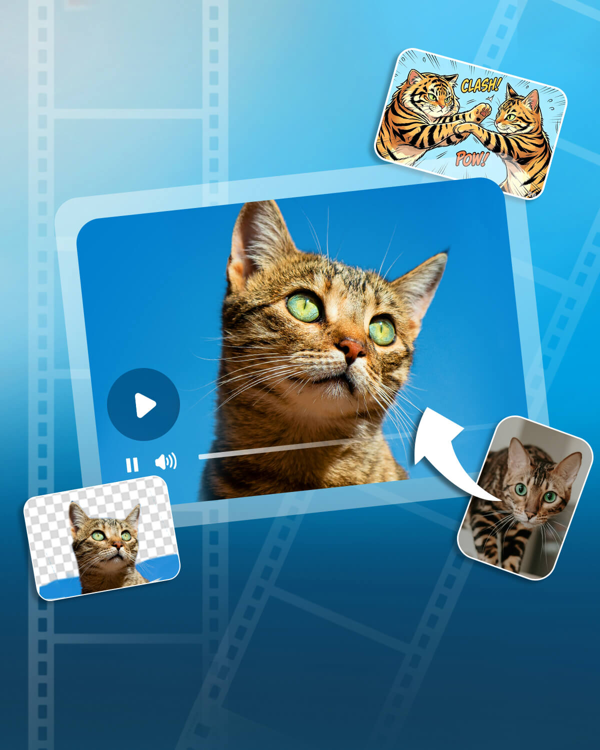 Auto captured cat moments stitched into a remix collage