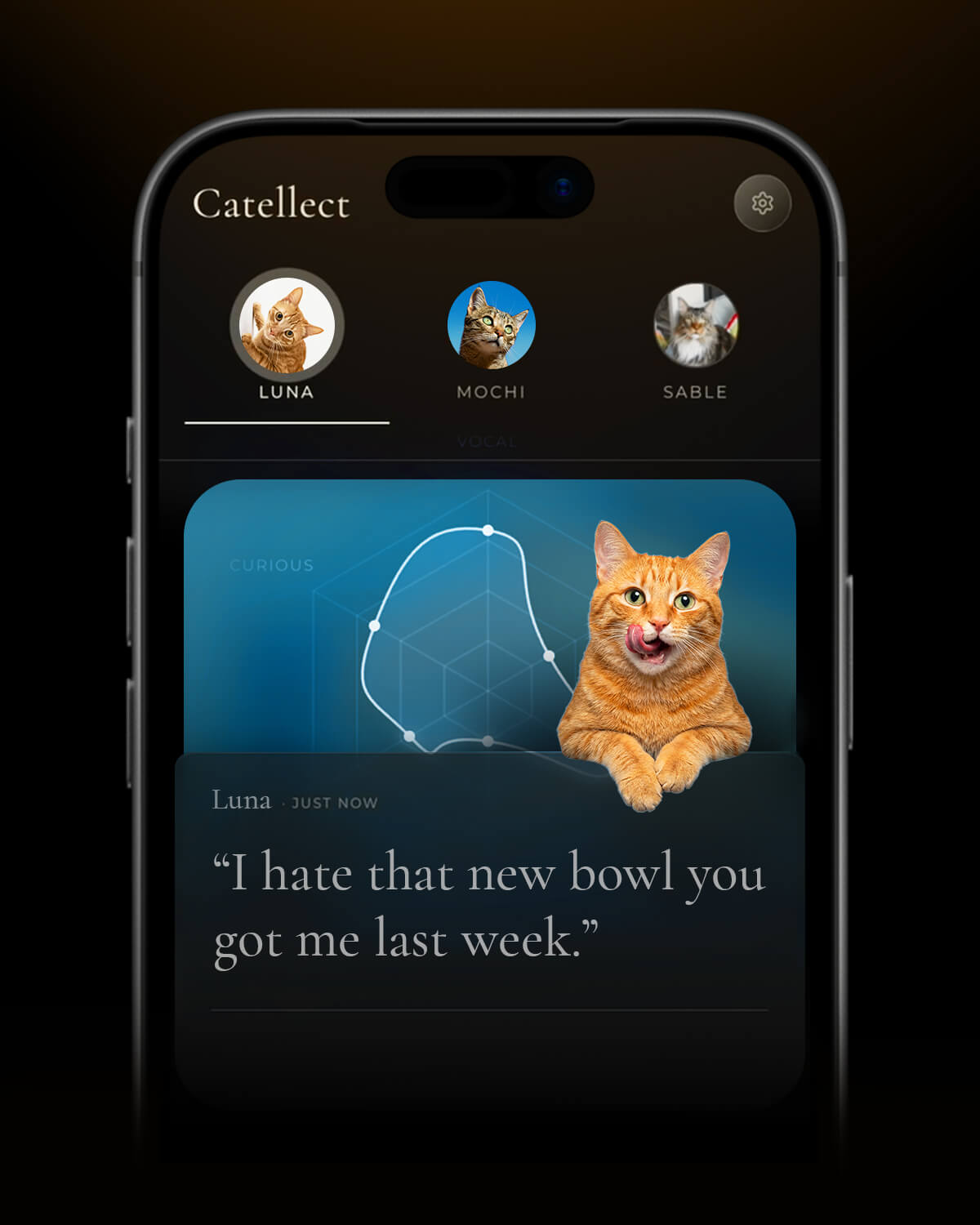 Catellect app showing individual cat's personality and recent observation