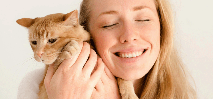 Owner hugging orange cat after Catellect behavior insights