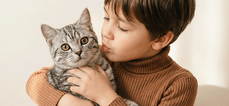 Child holding a healthy cat after Catellect wellness trend detection